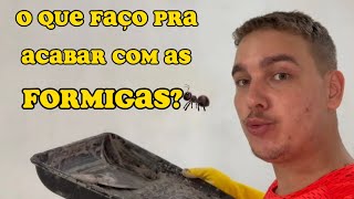 O QUE FAÇO PARA ACABAR COM AS FORMIGAS DENTRO DE CASA?