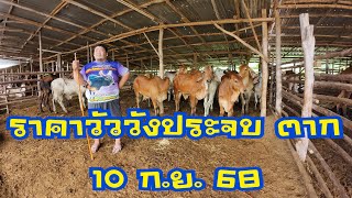 ราคาวัวตลาดนัดโคกระบือวังประจบ ตาก ( 10 กันยายน 2568 )