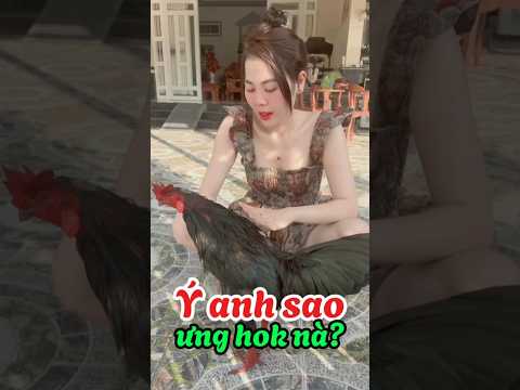 Ô que 3kg e gà siêu ngon