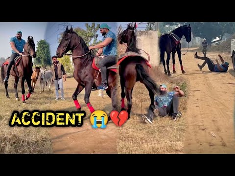 RIDE Karne Aaye Rider Ko Commando DONKEY 🫏 Ke Beech Mai Le Gya 😰Buri Tarah Gira Diya 😭(WORST RIDE)