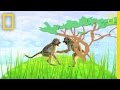 African Animal Alphabet and Behavior