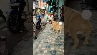 #wpstatus ,🤣🤣🤣