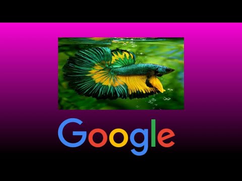 kalo gw ketemu pensil gw beli ikan cupang - google serch pena