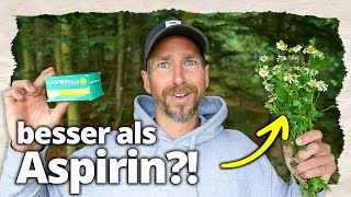Natürliches Aspirin - doch kaum jemand kennt es!