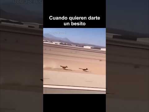 CUANDO QUIEREN DARTE UN BESITO