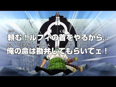 こんなゾロは嫌だ(Lv.99)