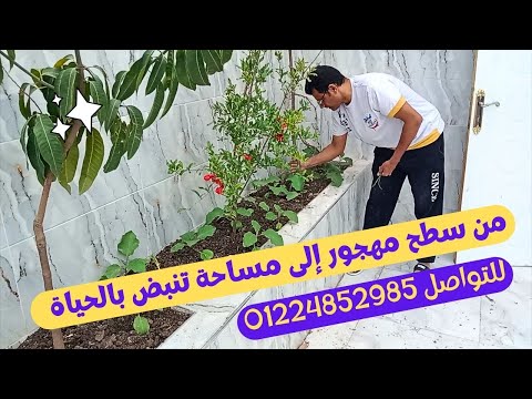 "سطحك، حديقتك، عالمك! 🌼 كل شيء عن تصميم الأسطح بنظام الأحواض"
