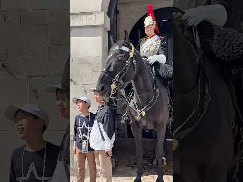 JAPANESE TOURISTS: BOWING AND SETTING THE STANDARD WITH REGAL HORSES!🇯🇵