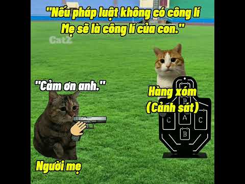 Sự trả thù của người mẹ! #meme #cat #catmemes