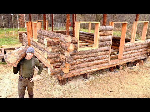 I Spent 30 Days Alone Building a LOG CABIN in the Forest With My Dog, First Top of the Wooden Wall