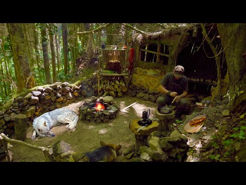 Relaxing ASMR Bushcraft Shelter Cooking, Stone-Grilled Saucy Meat, Swimming with Dogs in the Sea