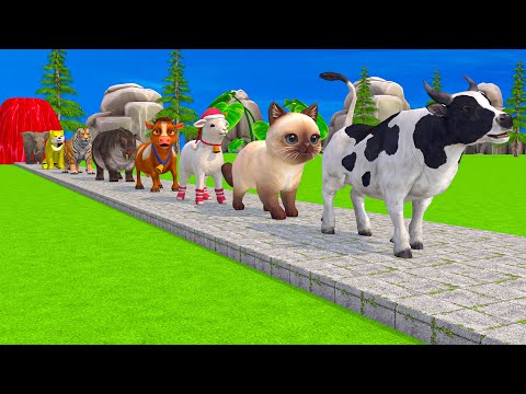 Paint & Animals Cow,Gorilla,Elephant,Lion,Tiger,Dinosaur, Fountain Crossing Transformation Cartoon