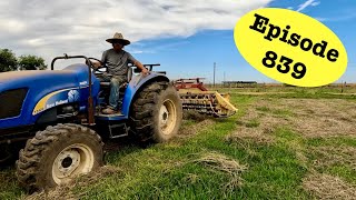Sighting In the Umarex Zelos and Raking Hay