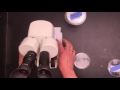 Petri Dish Experiment Procedures