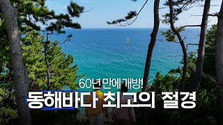 한국의 산토리니! 아름다운 동해바다 삼척 증산마을ㅣ테마기행길ㅣ09월 15일 다시보기