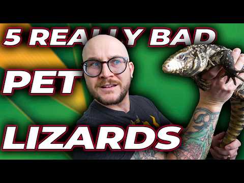 5 REALLY Bad Pet Lizards | Get These Instead!