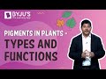 Photosynthesis and Light Absorption Concepts