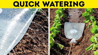 How to Keep your Garden Green and Blossom. Cool Plant hacks