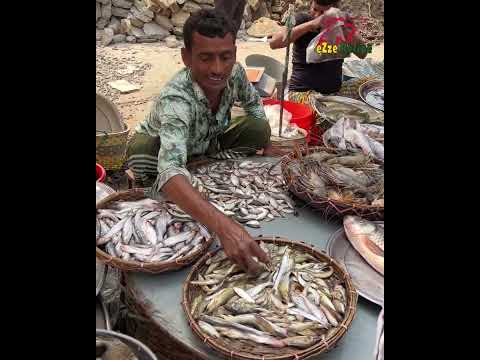 ঢাকায় ছুটির দিনের মাছের বাজারের অবস্থা। মাছ তো অনেক কিন্তু দাম কমছে না। Dhaka Fish Market