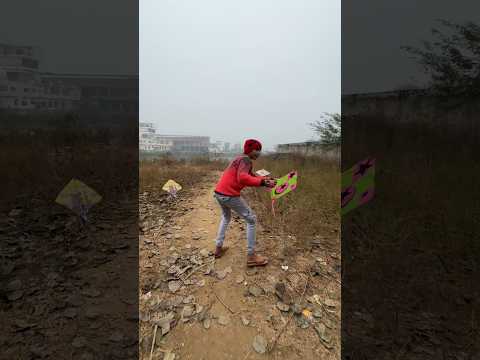 Bacha Ne Bataya Yaha Patang Gire Hue Hote Hai 🪁 #kiteflying #kite #patangbazi #patang #shorts