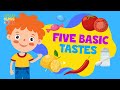 Understanding the Five Basic Tastes
