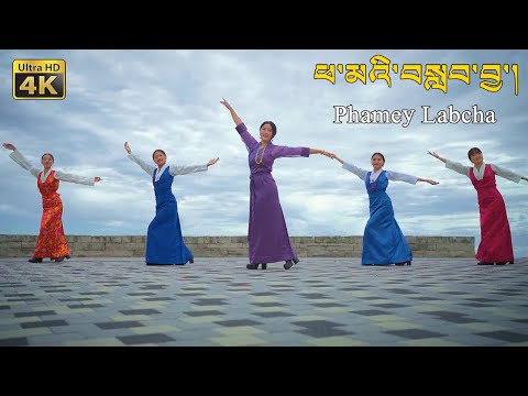 New Tibetan Song 2023 “Phamey Labcha” ཕ་མའི་བསླབ་བྱ་། By Lhamo Tso ལྷ་མོ་མཚོ།