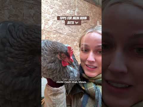 Schreibt eure Tipps in die Kommentare🙏🏼🐓#landwirtschaft #landwirtin #huhn #hühner #chicken