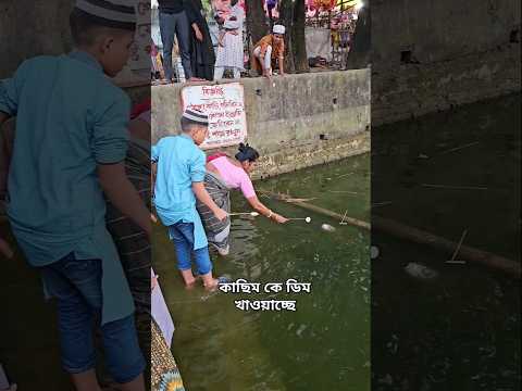 কাছিম কে ডিম খাওয়াচ্ছে 🐢🍳 #shorts #কাছিম #httraveler