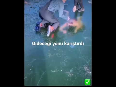 Hayatın hatasını yaptı 😱