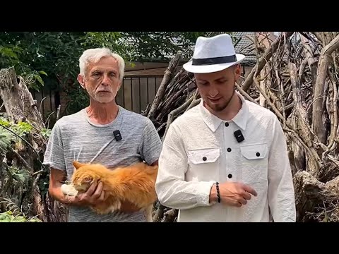 Спасение приюта «Просто котики» в Старокорсунской🫶 Добрый репортаж до слёз✨