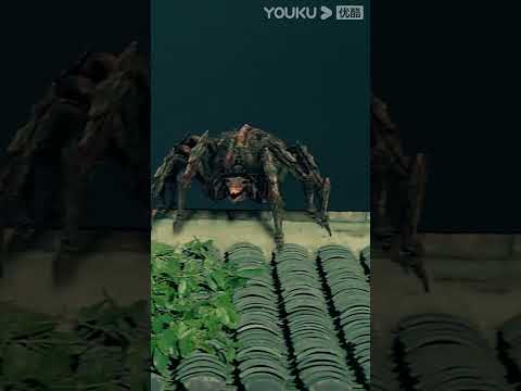 [2022 جرد الوحش: فصل الوحش] ｜العنكبوت العملاق النحلة العملاقة متعطش للدماء وقاتل!｜YOUKU