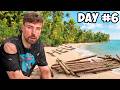 Survival Skills and Island Challenges