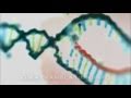 Exploring Protein Synthesis: From DNA to Functional Proteins