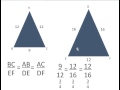 Finding Similar Figures Through Ratios and Proportions