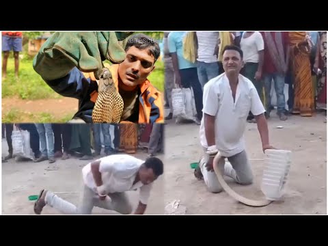 J.P यादव को  स्नेक बाइट कैसे हुआ वायरल वीडियो😱 J.P Yadav got bitten by a snake? Viral video.#snakes 