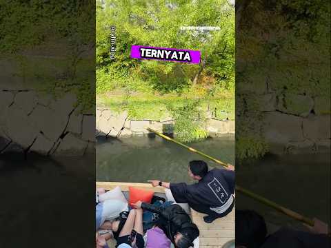 🔺️ ini alasan nahkoda suruh penumpang menunduk
