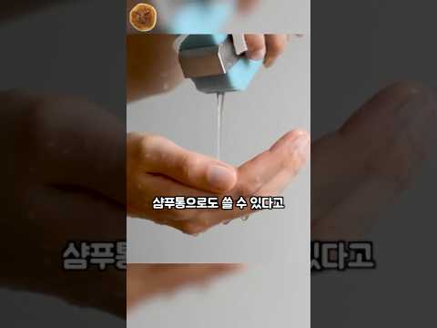 비누로 만든 샴푸통