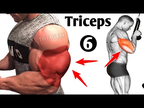 6 Best Triceps Exercises for Bigger Arms (Fastest Muscle Growth)