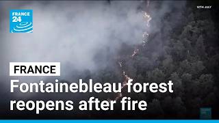 YouTube video thumbnail: France's Fontainebleau Forest Reopens One Month After Wildfire