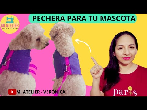 PECHERA PARA PERRO