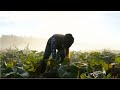 Agriculture Career Knowledge Assessment
