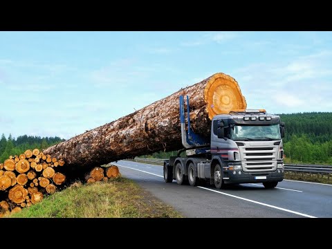 Dangerous Fastest Logging Truck Driving Skills | Biggest Heavy Wood Truck Machines Working