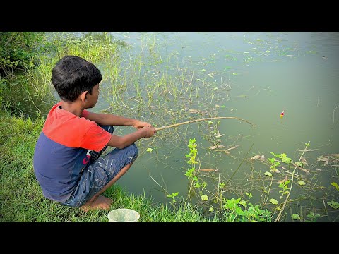 Best Hook Fishing Video 🎣🐟 2024 ~ Fishing With Hook ~ Traditional Hook Fishing ~ Рыбалка Видео