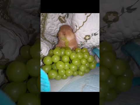 O último vai precisar de ajuda para sair dessa