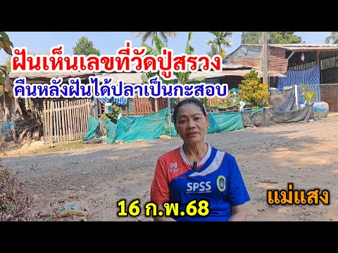 ฝันเห็นเลขที่วัดปู่สรวง คืนหลังฝันได้ปลาเป็นกะสอบ 16 ก.พ.68 แม่แสง