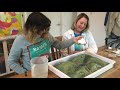 Watershed and Pollution Impact Assessment