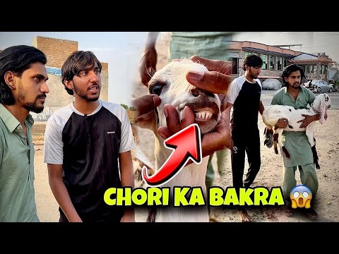 Chori Ka Bakra Pakra Giya 😱