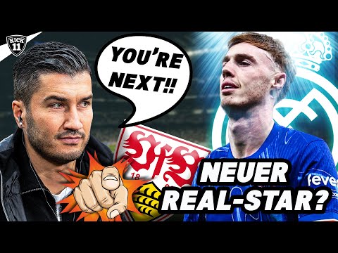 BVB will NÄCHSTEN VfB-Star! REAL TRÄUMT von PALMER! | KickNews