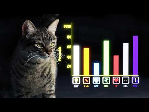How Cats Broke The Game