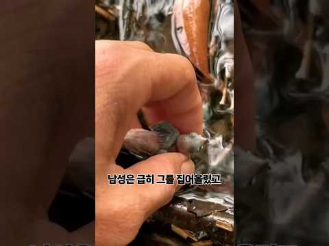 어미를 잃어서 너무 슬픈 새ㅜㅜ